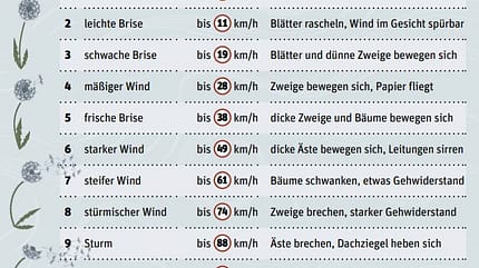 Windgeschwindigkeiten im Überblick Windgeschwindigkeiten im Überblick