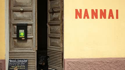 Nannai Climbing Home Nannai Climbing Home