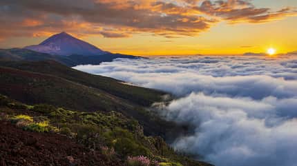 Teneriffa Special 11/2021 Teneriffa Special 11/2021