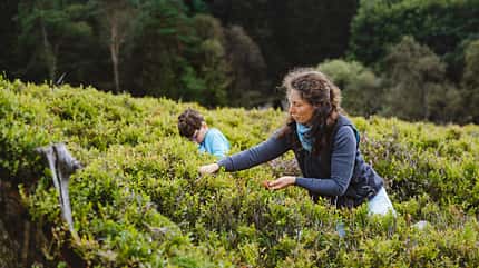 Trekking Sauerland/ 01/2022