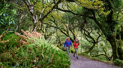 OD Reisestory 02/2022: Irland Kerry OD Reisestory 02/2022: Irland Kerry