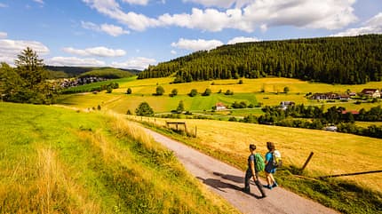 Baiersbronn - Schwarzwald - Deutschland Baiersbronn - Schwarzwald - Deutschland