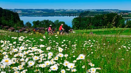 Austria Radspecial Genusstouren: Velodrom Salzburger Seenland Austria Radspecial Genusstouren: Velodrom Salzburger Seenland