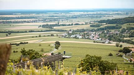 Paradiesroute,Österreich Austria Radspecial Genusstouren: Paradiesroute Südburgenland