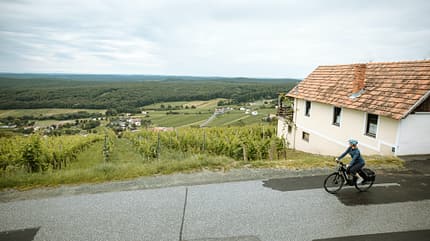 Paradiesroute,Österreich Austria Radspecial Genusstouren: Paradiesroute Südburgenland