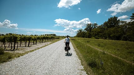 Neusiedlersee Radweg,Österreich Austria Radspecial Genusstouren: Neusiedler Seen Radweg