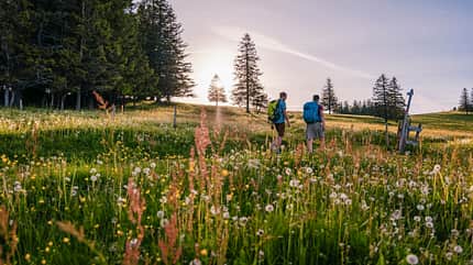 Feldberg Schwarzwald Feldberg Schwarzwald