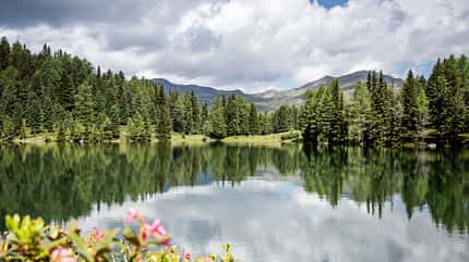 Advertorial Brixen Advertorial Brixen