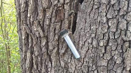 Geocaching - PETling - Cache - Tradi Geocaching - PETling - Cache - Tradi