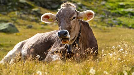 Livigno Italien Livigno Italien