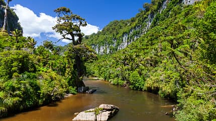 Landschaft des Paparoa Nationalparks in Neuseeland Landschaft des Paparoa Nationalparks in Neuseeland