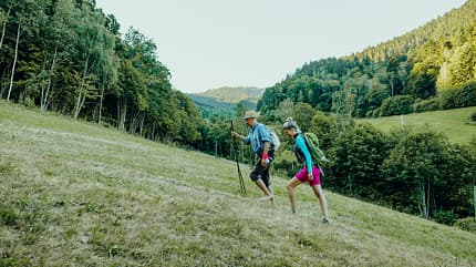 Kandel Schwarzwald Kandel Schwarzwald