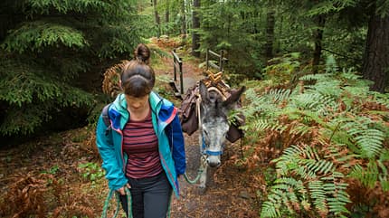 Eselwandern Eselwandern
