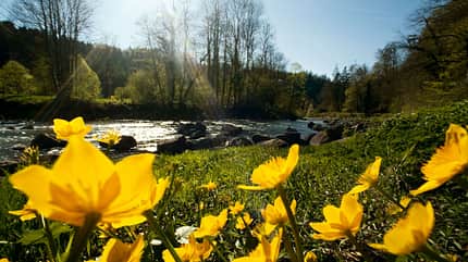 Schweiz Naturparks- und Schutzgebiete Schweiz Naturparks- und Schutzgebiete