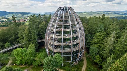 Baumwipfelpfad Bayerischer Wald Baumwipfelpfad Bayerischer Wald