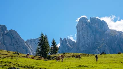 Gosaukamm-Runde am Dachstein Gosaukamm-Runde am Dachstein