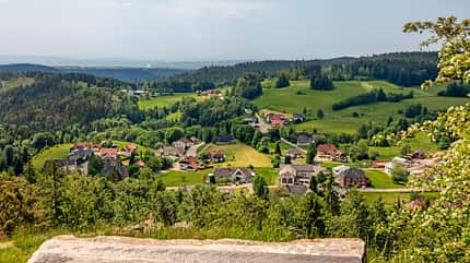 Schluchtensteig Schluchtensteig
