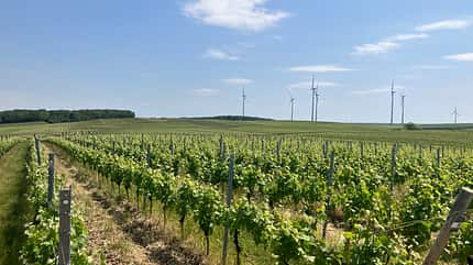 Bloggerwandern 2023 Bloggerwandern 2023