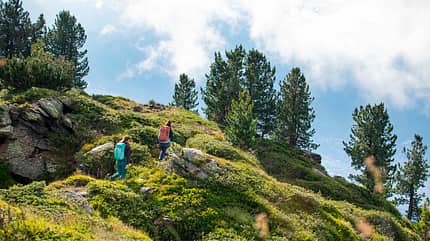 Rucksack Wandern Deuter Best Brands 2023 Rucksack Wandern Deuter Best Brands 2023