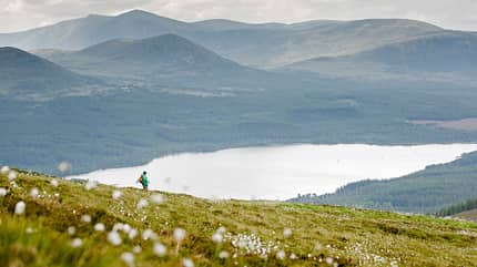 Schottland, Cairngorms Schottland, Cairngorms