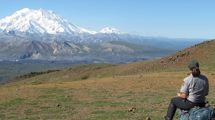 Denali - Alaska - USA - Denali - Alaska - USA -