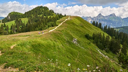 Bergsommer im Tannheimer Tal Bergsommer im Tannheimer Tal