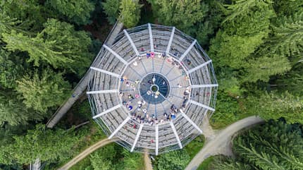 Größe L (2000-5000 px),Luftaufnahme Turm Deutschland Superlative der Outdoor-Welt - Baumwipfelpfad bei Neuschönau