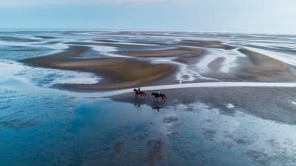 westeuropa,wattenmeer,watt,wasser,tier,tagsüber,tageslicht,tag,sehenswürdigkeit,Sankt Peter Ording,reiter,reiten,pferd,person,nordsee,natur,meer,ländliche Gegend,leute,landschaftlich,landschaft,Kreis Nordfriesland,gezeiten,gewässer,Fahrrad fahren,europäisch,europa,ebbe,draussen,deutsch,bundesrepublik,brd,aussenaufnahme,aussen,2 personen,2 Menschen Deutschland Superlative der Outdoor-Welt -Nationalpark Wattenmeer