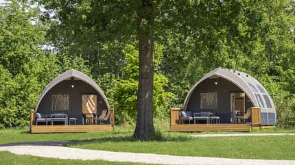 De Waard Big Oak De Waard Big Oak