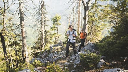 Auswahl_1,Auswahl_2_Attersee Attersee Attergau
