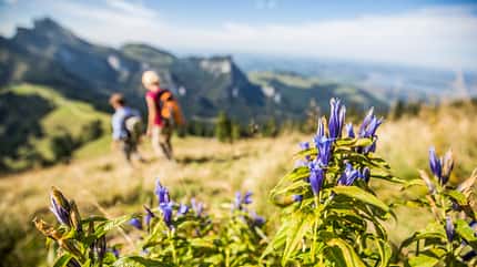 Wandern im Chiemgau - Kampenwand