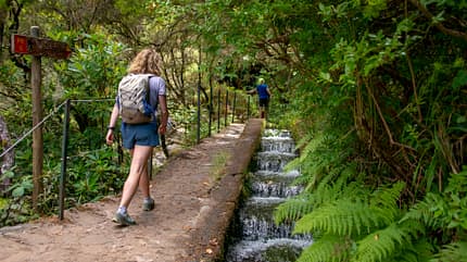 Levada Madeira Insel Portugal Wandern Urlaub Levada Madeira Insel Portugal Wandern Urlaub