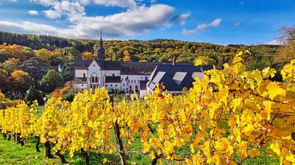 Kloster Eberbach im Rheingau Kloster Eberbach im Rheingau