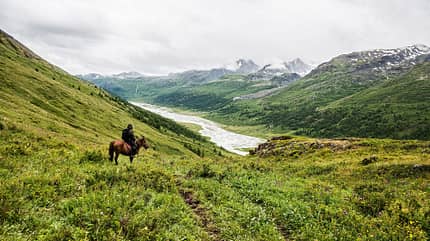 Die mongolischen Ponys sind genügsam, ausdauernd und tragen bis zu 150 Kilo. Die mongolischen Ponys sind genügsam, ausdauernd und tragen bis zu 150 Kilo.