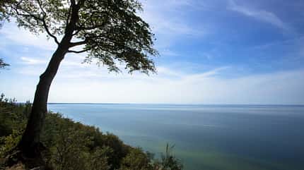 Nationalpark Wollin Woliński Park Narodowy Polen Baum Meer Ostsee Nationalpark Wollin Woliński Park Narodowy Polen Baum Meer Ostsee