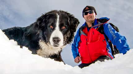 Bergwacht Hund Schnee Winter Bergwacht Hund Schnee Winter