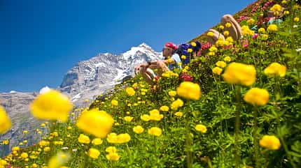 Das Lauterbrunnental im Berner Oberland, Schweiz Das Lauterbrunnental im Berner Oberland, Schweiz