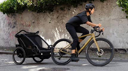 Kinder Anhänger Thule