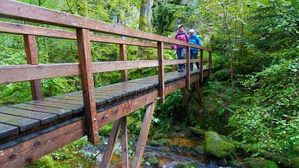 Mehrtagestour "Albtal-Aussichten" im Schwarzwald