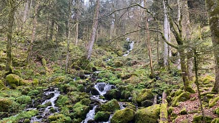 Elsass Elsass