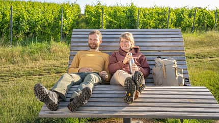 Seußlitzer Weinsichttour in der Region Dresden Elbland, Deutschland