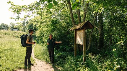 Schwarzwald Schluchtensteig Schwarzwald Schluchtensteig