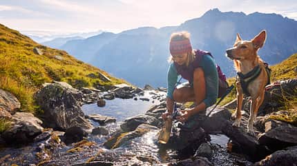 Alpencross mit Hund - Abenteuer - Buchtipp Alpencross mit Hund - Abenteuer - Buchtipp