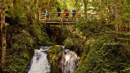 Wilde Endert , Cochem, Mosel