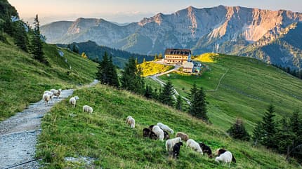 Best of Bayern mit den Öffis