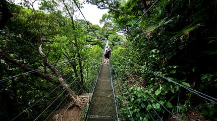 Costa Rica Reise