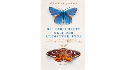 Schmetterling Falter Biologie Natur weltweit Buch Cover Die fabelhafte Welt der Schmetterlinge von Marion Jaros