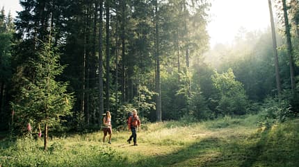 Trekking im Schwarzwald - Trekkingcamps