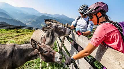 Dolomiten: Zwischen Wanderungen in Rosengarten und Latemar und Bike-Touren durchs Eggental