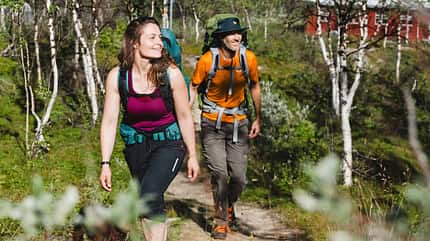 Treparksmötet, in der Wildnis Nordschwedens